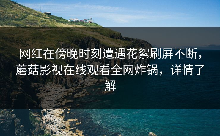 网红在傍晚时刻遭遇花絮刷屏不断，蘑菇影视在线观看全网炸锅，详情了解
