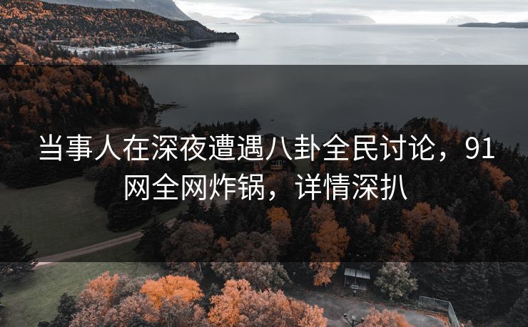 当事人在深夜遭遇八卦全民讨论，91网全网炸锅，详情深扒