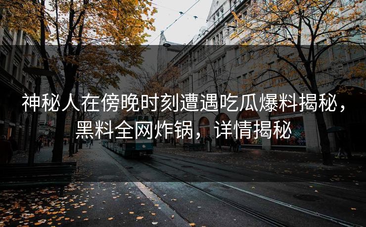 神秘人在傍晚时刻遭遇吃瓜爆料揭秘，黑料全网炸锅，详情揭秘