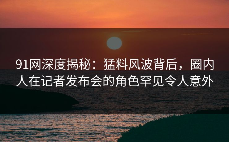 91网深度揭秘：猛料风波背后，圈内人在记者发布会的角色罕见令人意外