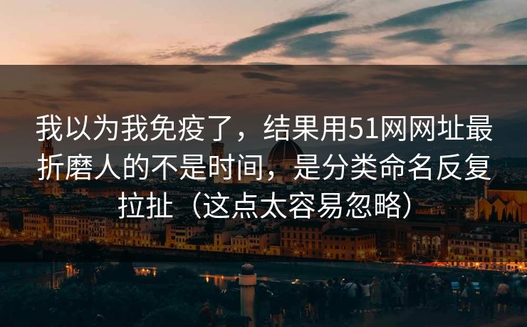 我以为我免疫了，结果用51网网址最折磨人的不是时间，是分类命名反复拉扯（这点太容易忽略）