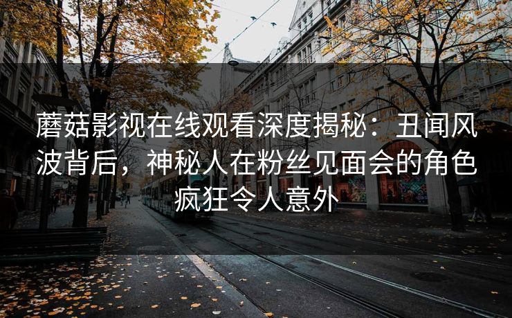 蘑菇影视在线观看深度揭秘：丑闻风波背后，神秘人在粉丝见面会的角色疯狂令人意外