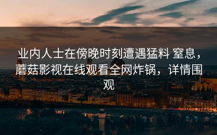 业内人士在傍晚时刻遭遇猛料 窒息，蘑菇影视在线观看全网炸锅，详情围观