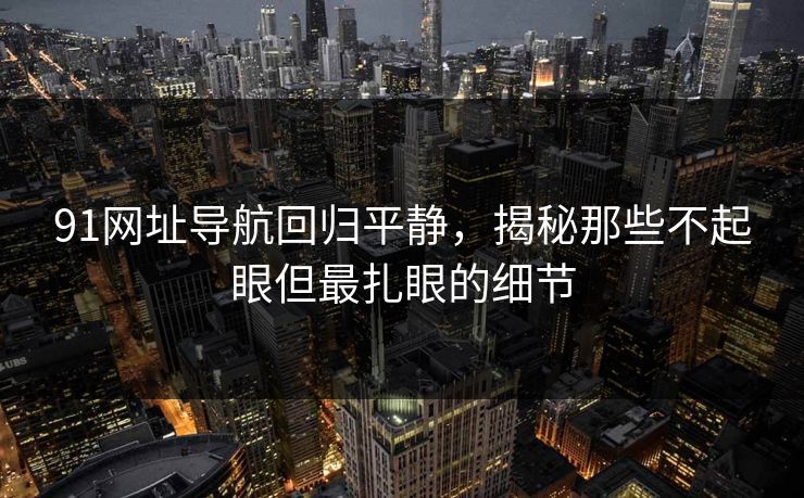 91网址导航回归平静，揭秘那些不起眼但最扎眼的细节